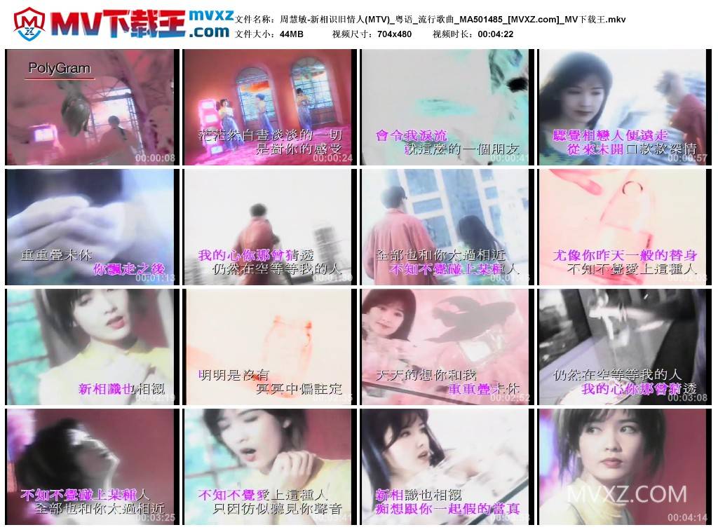 周慧敏-新相识旧情人(MTV)_粤语_流行歌曲_MA501485
